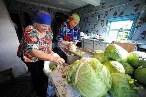 В мужской или женский день квасить капусту