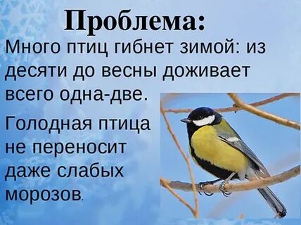 Почему нужна зима