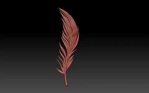 Feather 3d