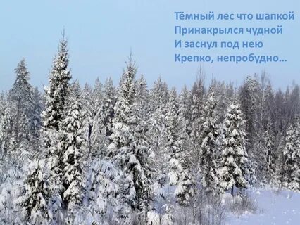 Заснет далекий лес