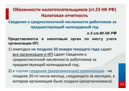 Ответственность налогоплательщика и налоговых органов