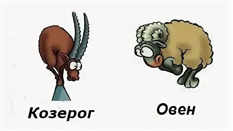 Союз козерога и козерога