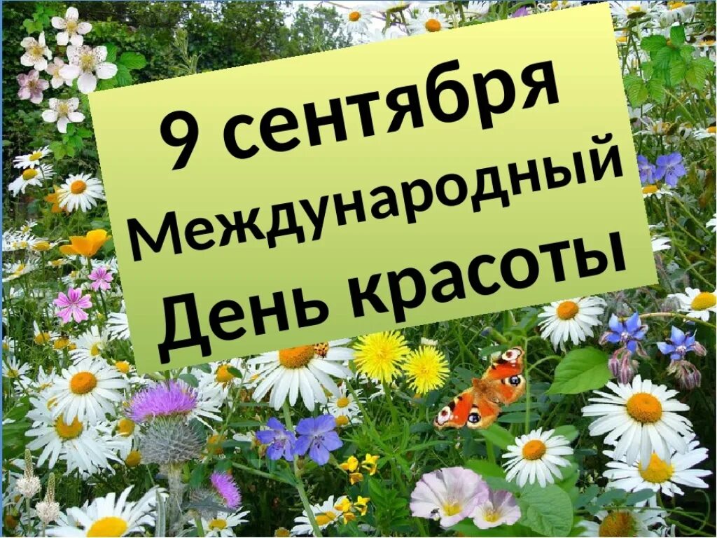 Картинки всемирный день. Всемирныйтдень красоты. Всемирный день красоты 9 сентября. 9 Сентября праздник. 9 Сентября праздник красоты.