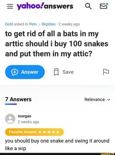= yahoo/answers A E Gold asked in Pets 2 weeks ago to get rid of all a bats...