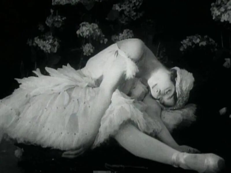 Майя плисецкая лебединое озеро. Махалина балет. Лучший умирающий лебедь. Светлана захарова одетта. Балет лебединое озеро лебедь плисецкая.