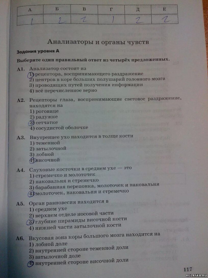 Биология 8 класс тесты с ответами Колесов. Выберите один правильный ответ из четырёх предложенных. Задания по биологии 8 класс анализаторы. Тест по биологии 8 класс анализаторы. Проверочная по биологии 8 класс анализаторы