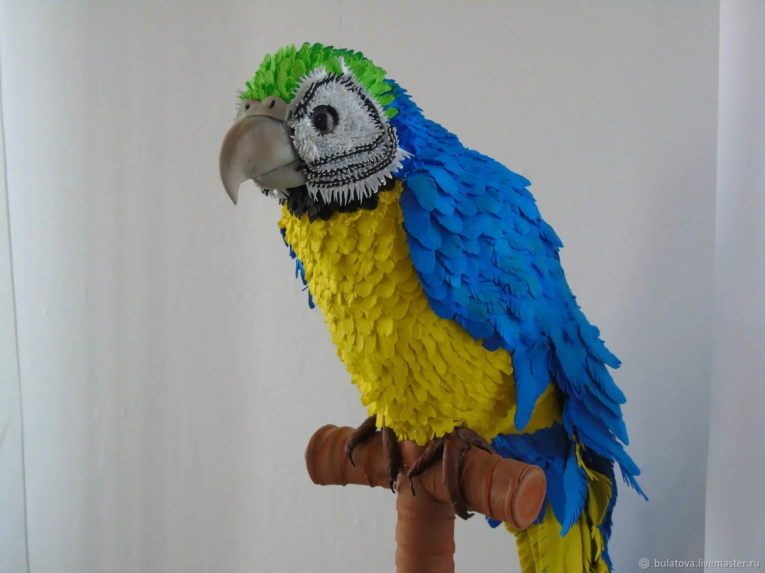 как сделать больше попугаев. лучшие попугаи для квартиры. новорожденные попугайчики. попугай в колпачке. какаду и ара.