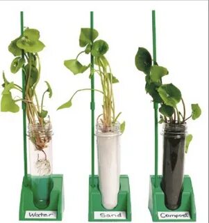 Plant lab
