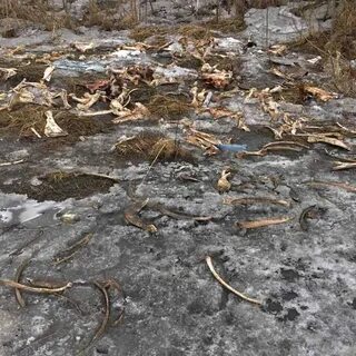 Поиски красноярск