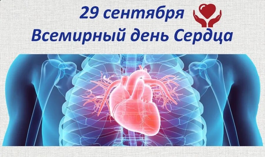 29 сентября 2025 всемирный день сердца. Всемирный день сердца. всемирный день сердца праздник. 29 сентября всемирный день сердца. сердце ребенка.