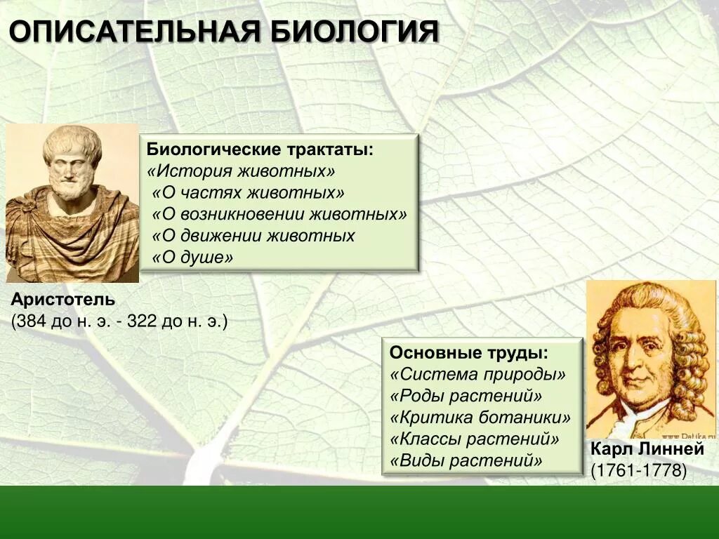 Создание научного трактата. Большая книга музыки аль фараби. Аль фараби книги. ). Создание научного трактата.