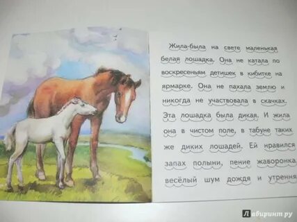 Песня белая лошадка в чистом поле