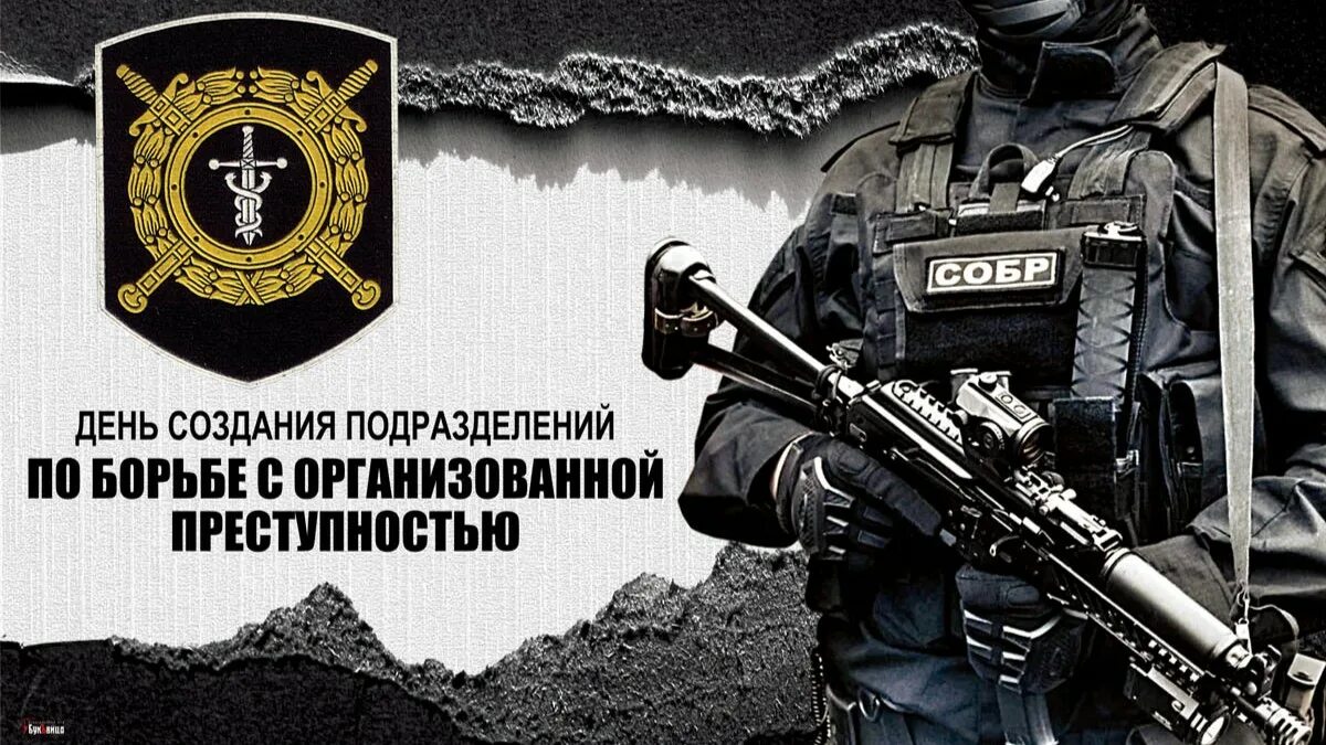 15 11 дата