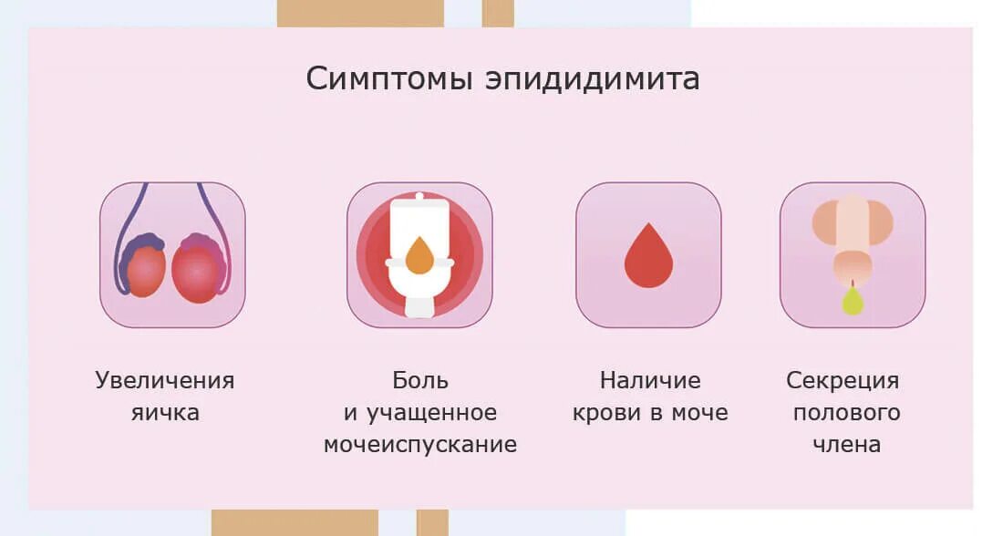 Картинки ВАРИКОЦЕЛЕ ЯИЧЕК ЛЕЧЕНИЕ