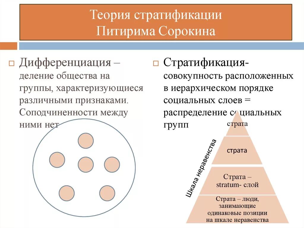 Проиллюстрируйте тремя примерами критерии социальной дифференциации