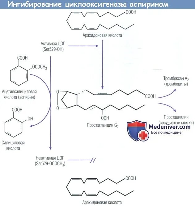 Аспирин ингибитор ЦОГ. Ингибирование циклооксигеназы аспирином. Ингибирование циклооксигеназы ацетилсалициловой кислотой. Ингибитор фермента циклооксигеназы. Механизм действия аспирина