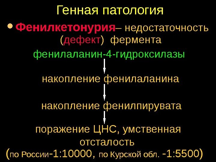 Фенилкетонурия фермент. Фенилкетонурия патогенез схема. Отсутствие фермента фенилаланин 4 гидроксилаза. Фенилкетонурия патогенез кратко. Фенилкетонурия механизм возникновения.