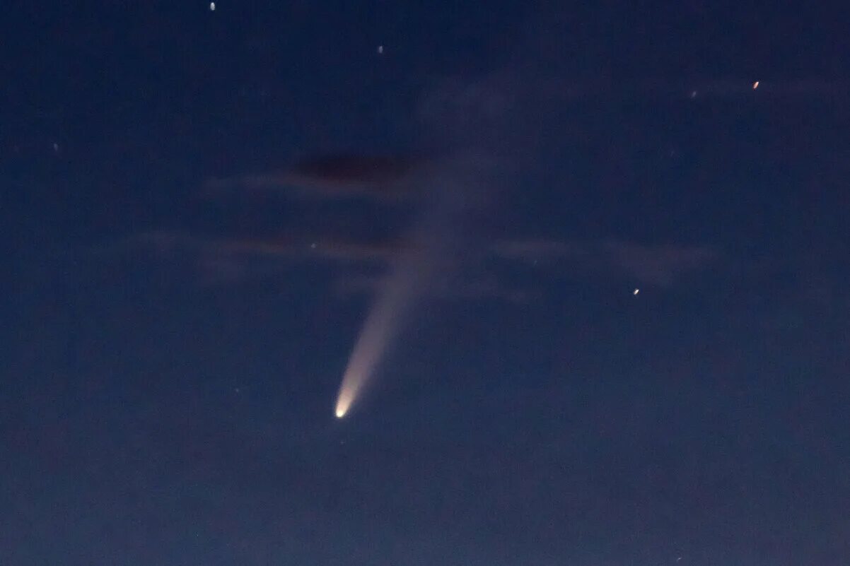 Комета хамелеон. Где сейчас летит комета. Комета фото. Комета над землей. Комета летом 2020.