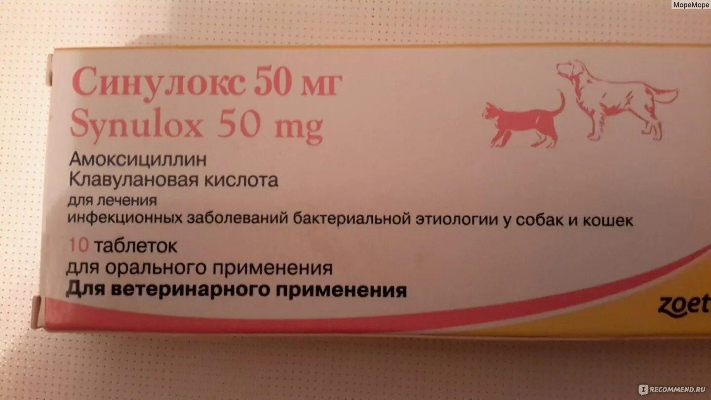 Синулокс дозировка. Синулокс 250 мг. Препарат ветеринарный синулокс 250 мг. Синулокс 500 мг. Синулокс для кошек 250мг.