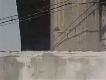 Разделить гифку на кадры