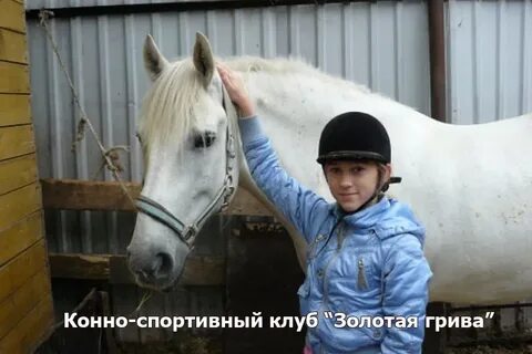 Золотая грива новосибирская область