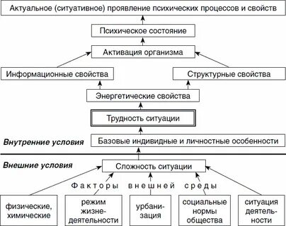 Функции спортсмена