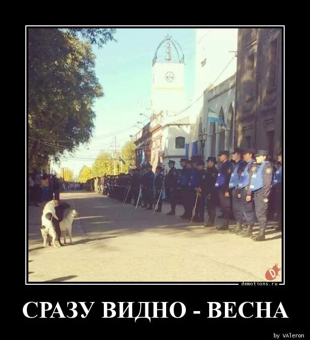 Весны не видать. Весну не видно. Там весны не видать.