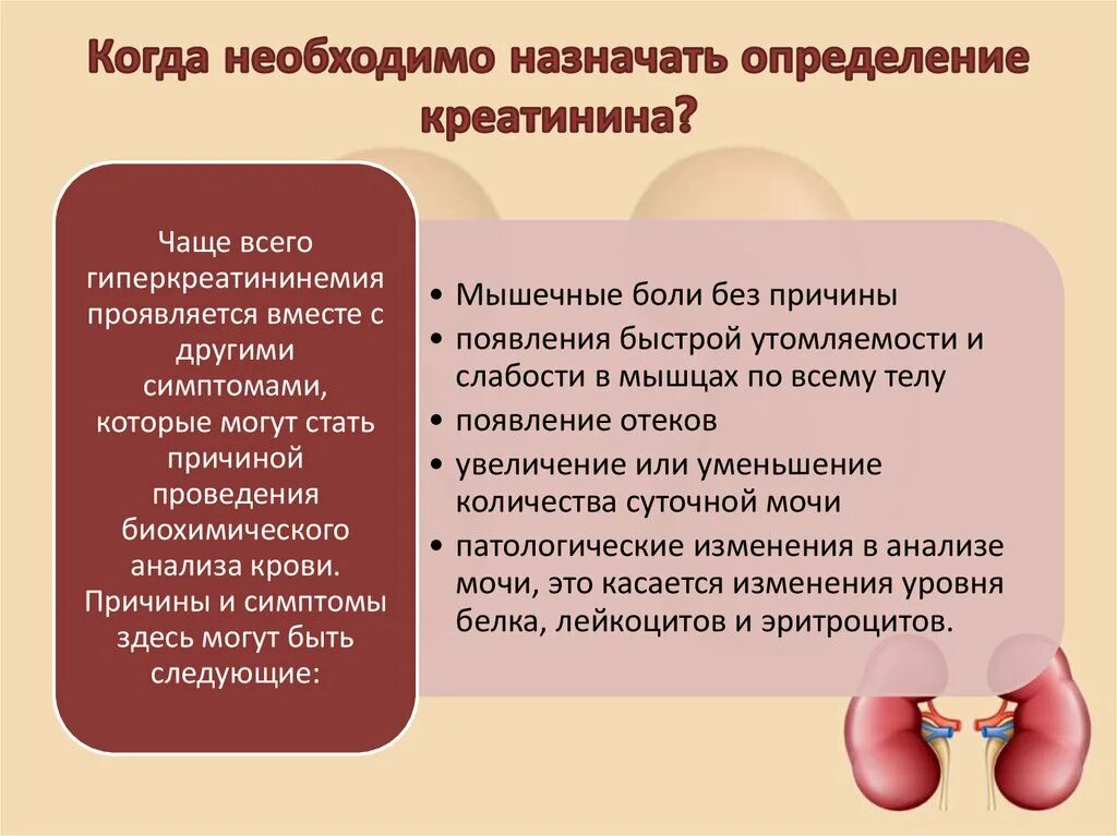 Заболевание почек креатинин. Самодиагностика заболеваний почек. Симптомы повышенного креатинина в крови у женщин. Причины повышения креатинина в крови у мужчин. Исследование ферментов в диагностике заболеваний почек.