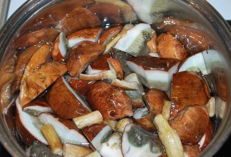 Сколько варить грибы перед. Грибы при варке. Польский гриб готовка. Польские грибы на зиму. Отваривание грибов.