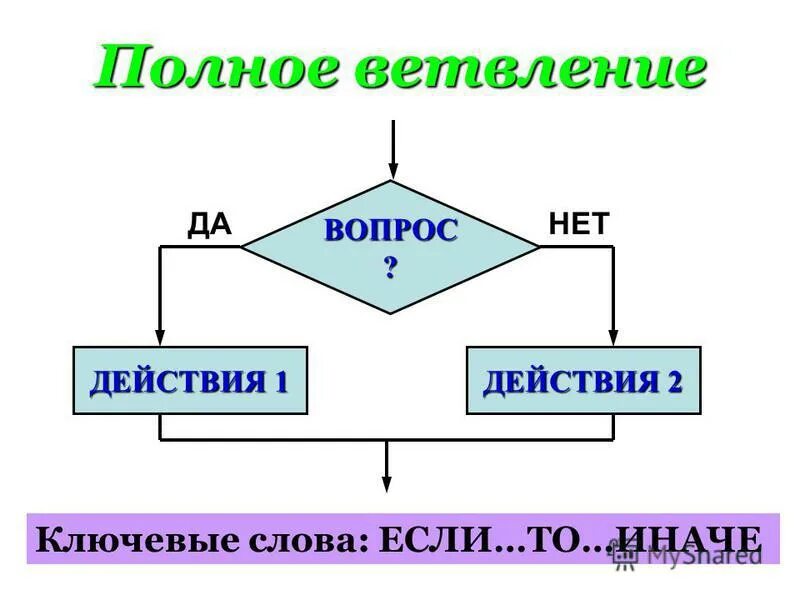 Что такое ветвление в информатике