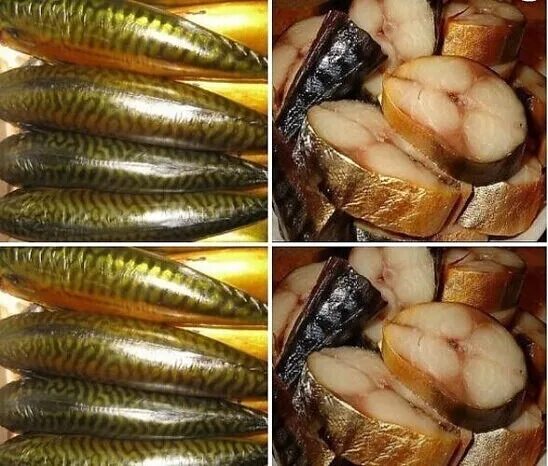 Можно коптить скумбрию