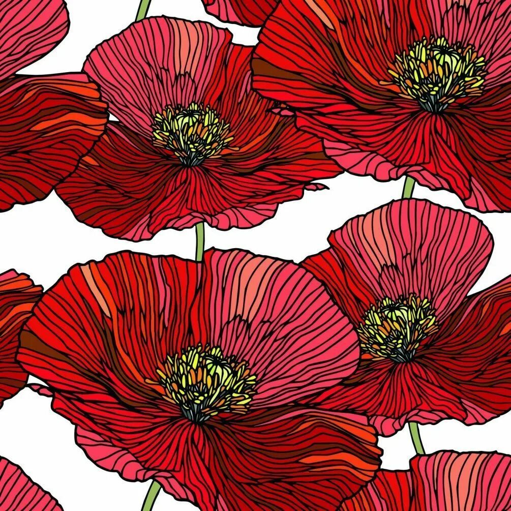Цветы графика. Цветы графика в цвете. Мак стилизация цветок. Цветы графика в цвете. Цветы рисунок.