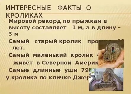 Факт мил