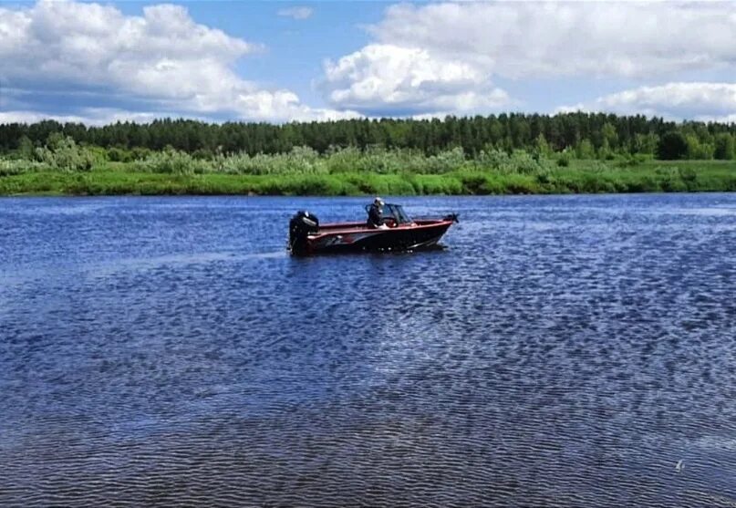 Ловля рыбы. Новгородская область утонули. Новгородская область утонули. Новгородская область утонули. Новгородская область утонули.