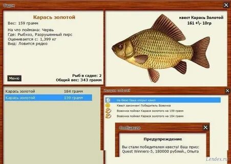 Реальная рыбалка на что ловить карася