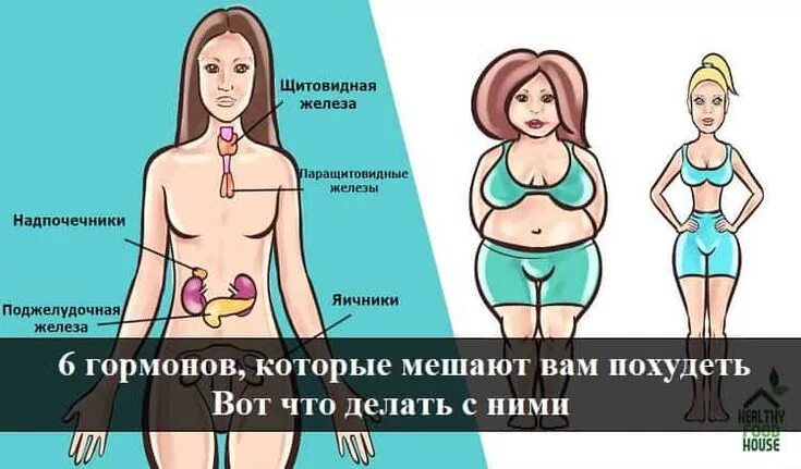 Гормоны которые не дают похудеть. Гормональный фон. Гормоны для похудения женщинам. Поправляются из за гормонов. Влияние гормонов на похудение.