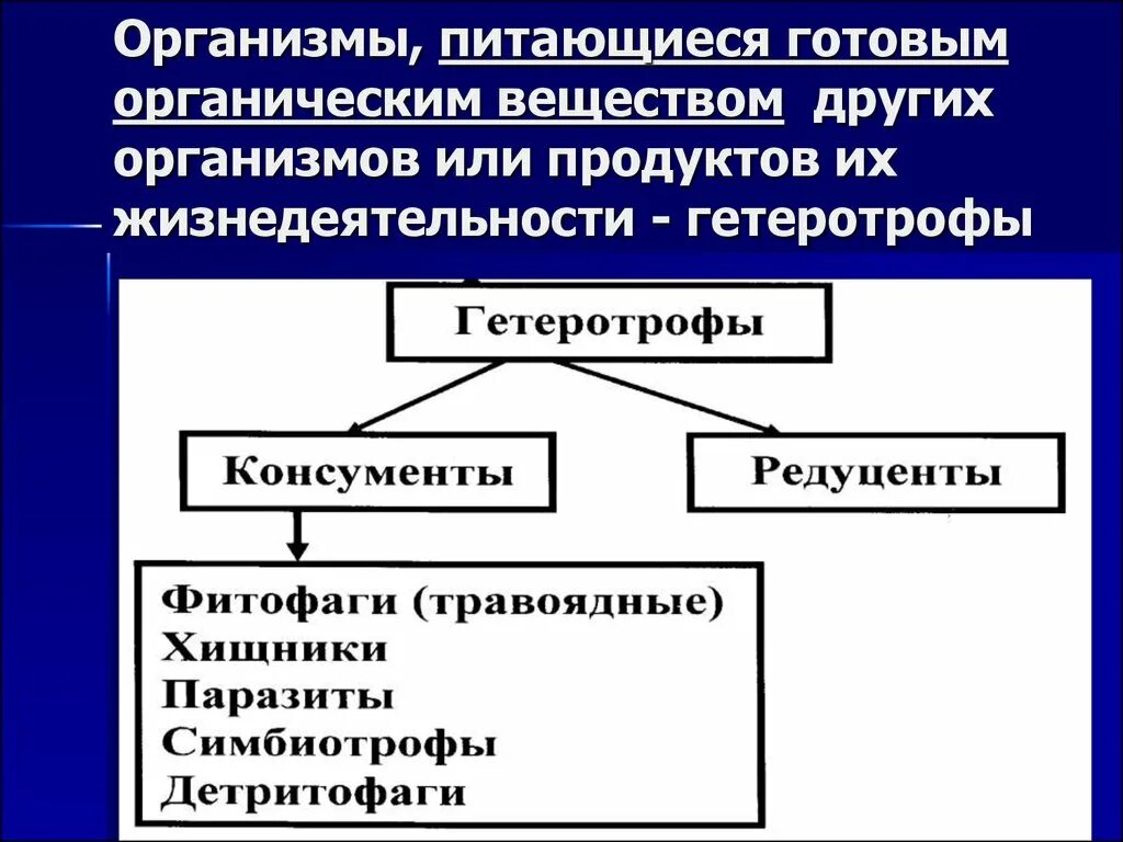 Экологическая классификация организмов. Одноклеточные водоросли гетеротрофы. Организмы питающиеся готовыми органическими веществами. Консументы 2. Готовые органические вещества это.