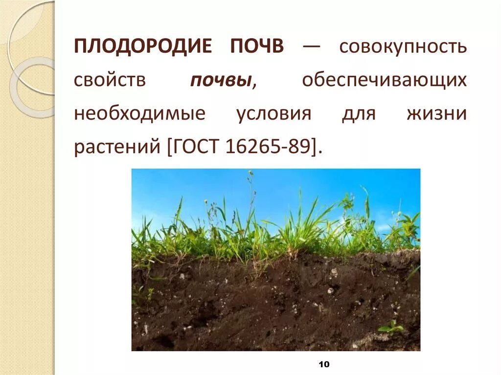 Плодородие почвы кратко 5 класс. Плодородие почвы. Почва плодородие почвы. Чем определяется плодородие почвы. Растения на плодородной почве.