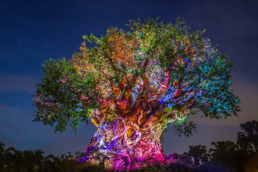 The speakers tree