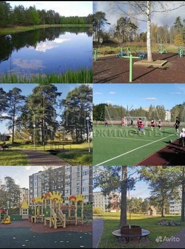 Ретюнь. Ретюнь ленинградская область.