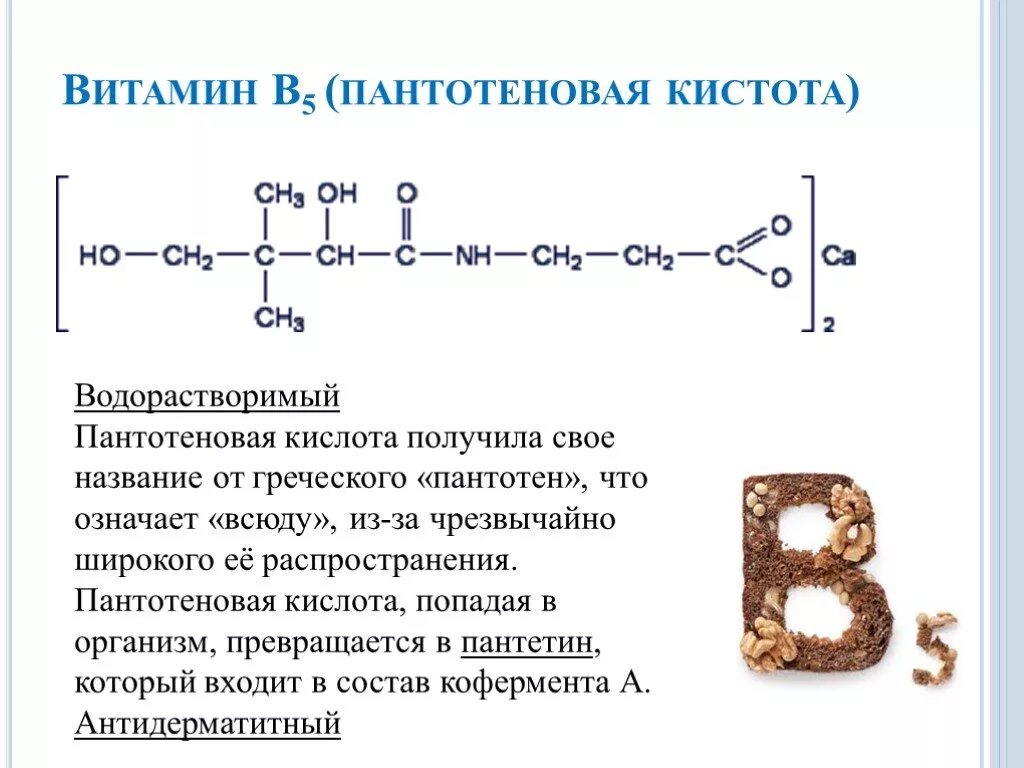 Активная форма в 5. Витамин b3 пантотеновая кислота. Витамин b5 пантотеновая кислота. Активная форма пантотеновой кислоты витамин в5. Витамин в5 пантотеновая кислота функции.