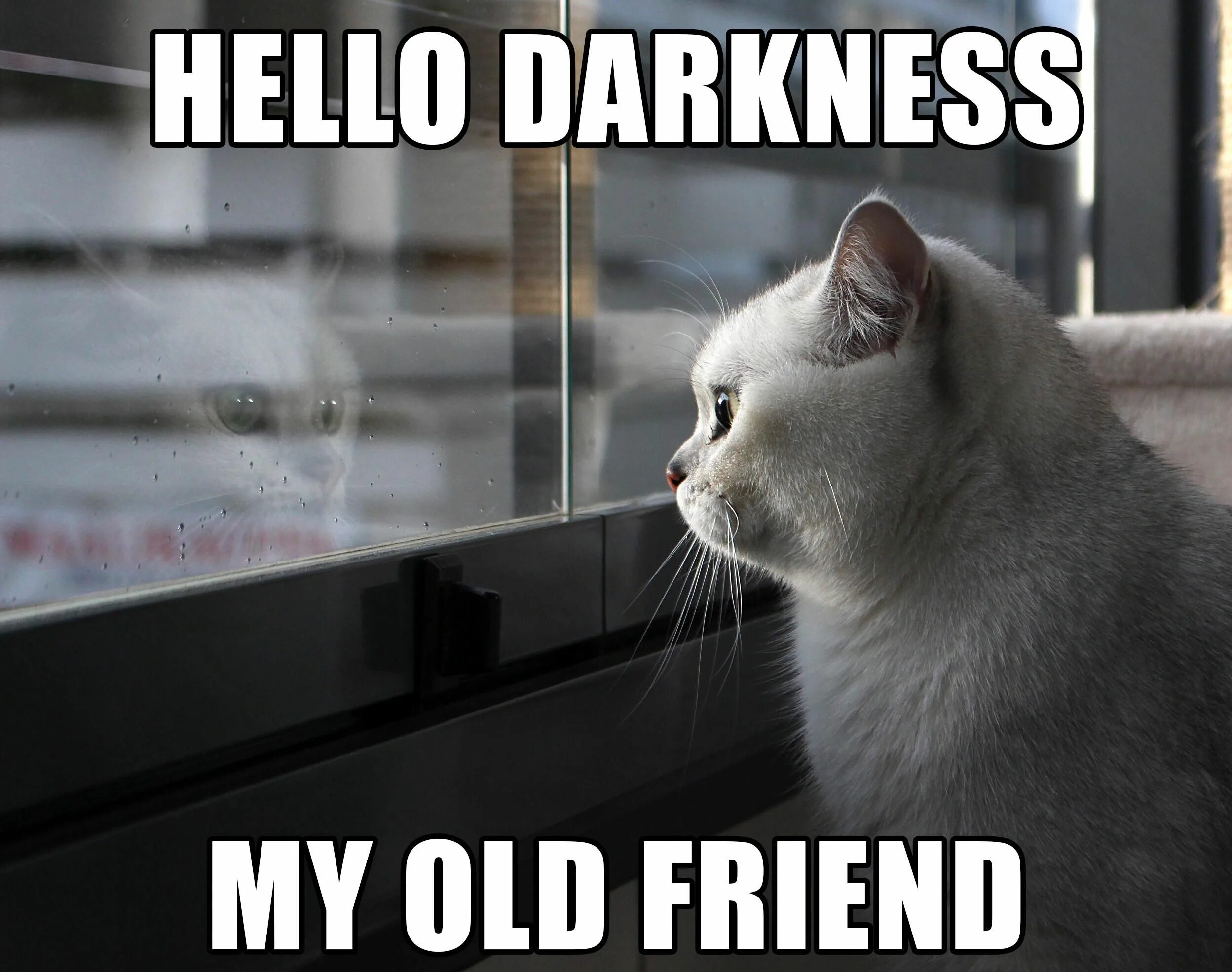 Hello meme. Hello Darkness my old friend. Hello Darkness Мем. Хелло Даркнесс май Олд френд. Hello Darkness smile friend.