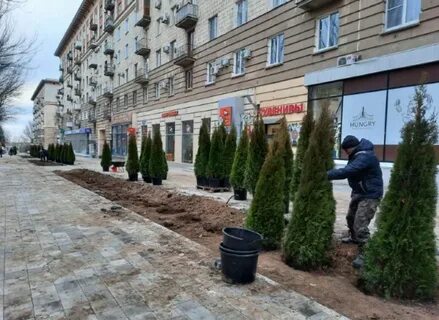 На аллее волгоград