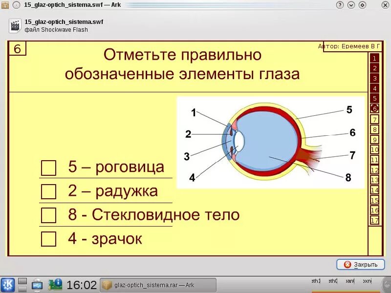 Фокусировка лучей света на внутренней. Строение глаза физика. Оптическая система глаза. Строение глаза оптическая система глаза. Глаз и зрение оптические приборы физика 8 класс.