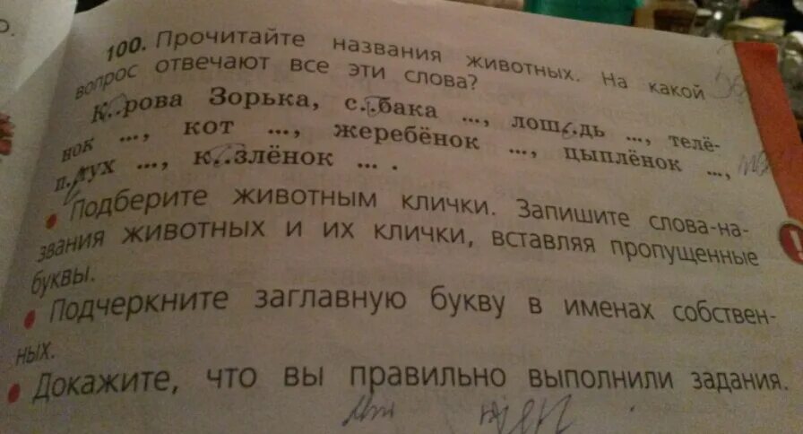 Прочитай подчеркни собственные имена существительные. Подберите животным клички. Прочитайте названия животных. Подчеркните клички животных что это. Подберите и запишите клички животных.