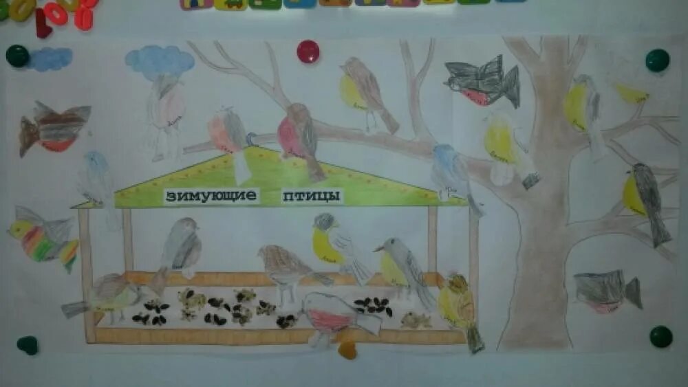 День птиц в первой младшей группе. Рисование зимующие птицы подготовительная группа. Проект в подготовительной группе на тему птицы. Проект зимующие птицы в подготовительной группе. Птицы во второй младшей группе проекта на тему.