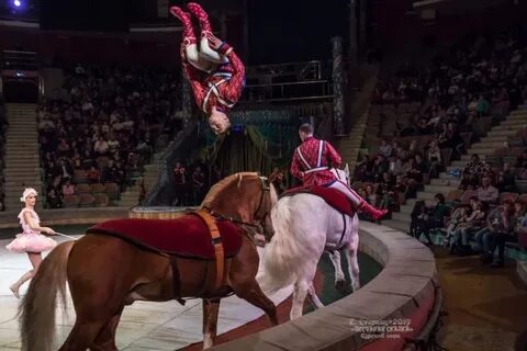 Цирк отзывы