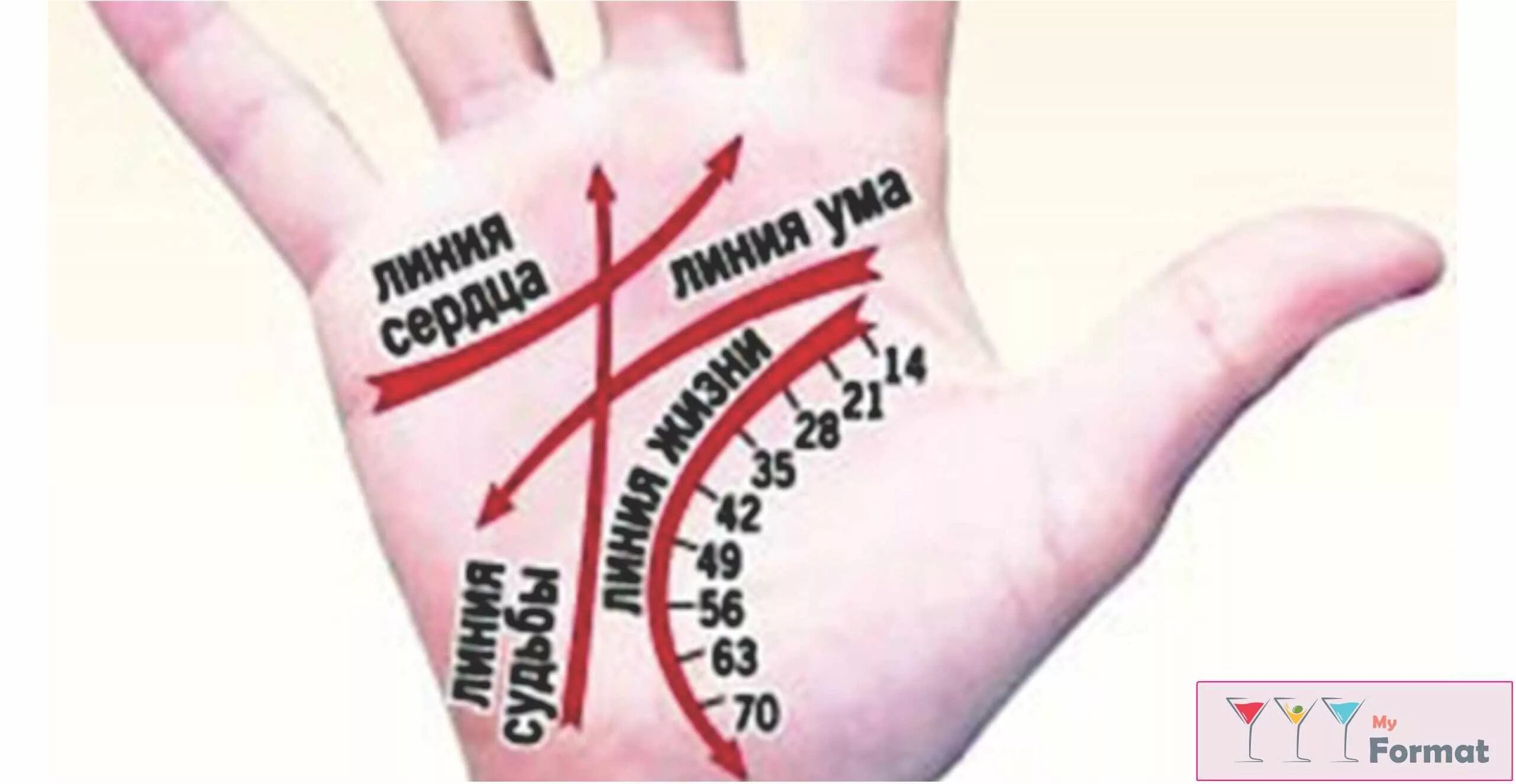 Хиромантия. Хиромантия линии. Линии на руке. Линия жизни на руке.