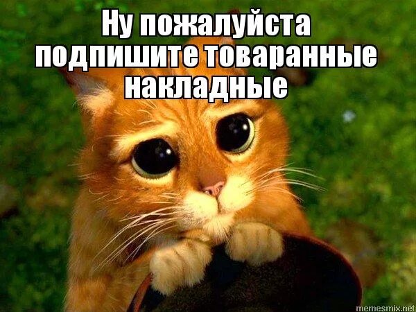 подписывайтесь на группу. подпишитесь пожалуйста. завизируйте пожалуйста. подпишитесь пожалуйста. подпишись и поставь лайк пожалуйста.