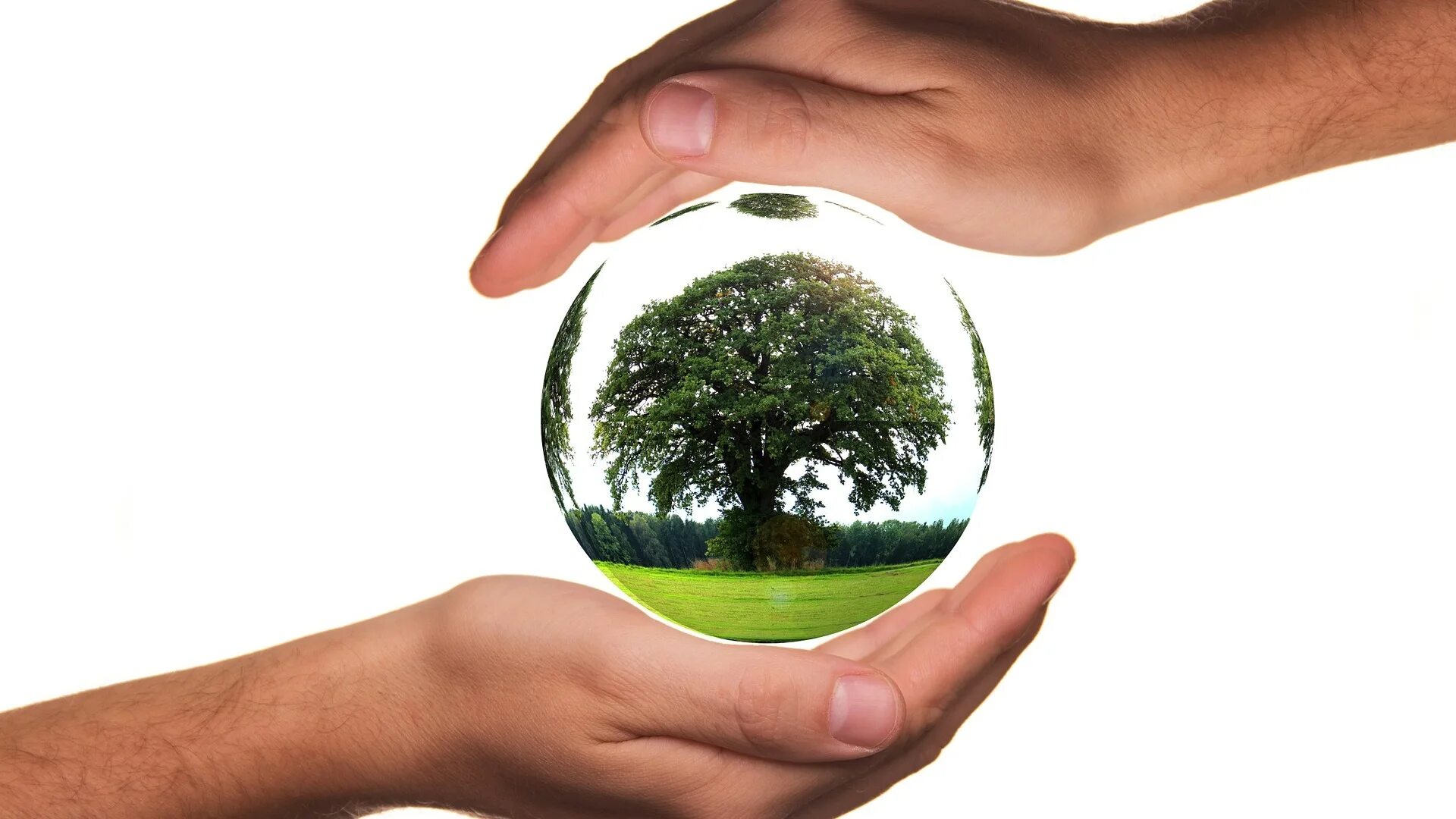 Healthy environment. Healthy environment